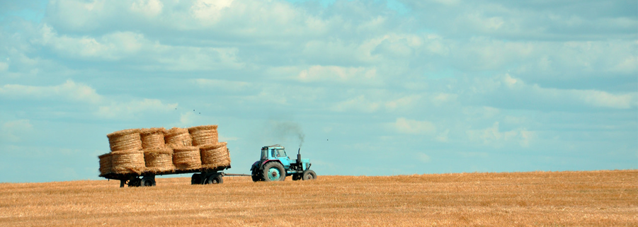 Agriculture traditionnelle