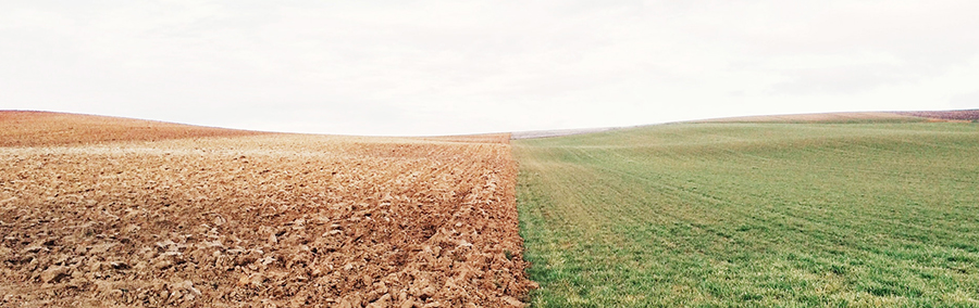 Crédits photo : https://unsplash.com/
