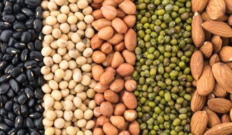 Crédits photos : Photo by Joanna Kosinska on Unsplash