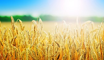 Crédits photos : Photo by Joanna Kosinska on Unsplash