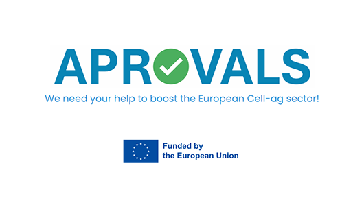  APROVALS Call for Applications