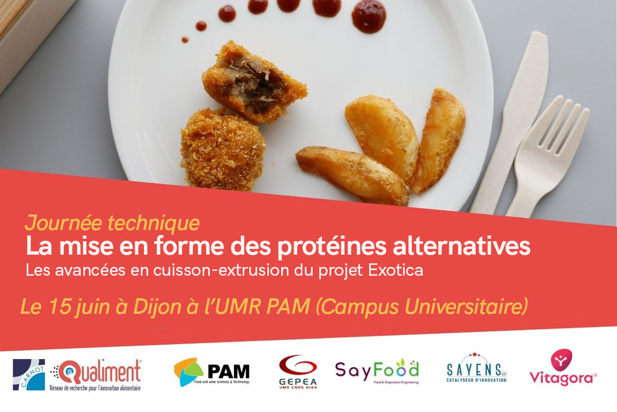 Journée technique - La mise en forme des protéines alternatives